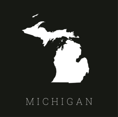 Saginaw, MI Practice For Sale