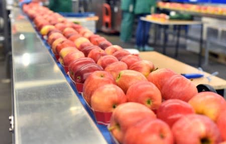 Wholesale Food Manufacturing/ Steadily Growing