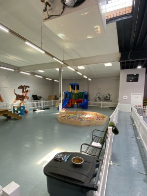 Dog Day Care Boarding Facility