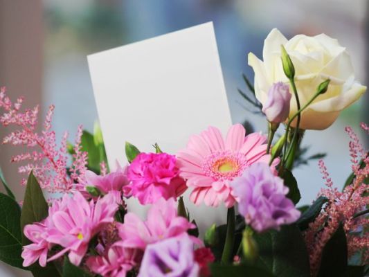 Florist/Gift Shop with Real Estate for Sale