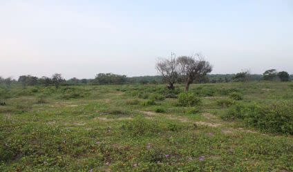 600 Acres Land for Sale Puttalama Sri Lanka