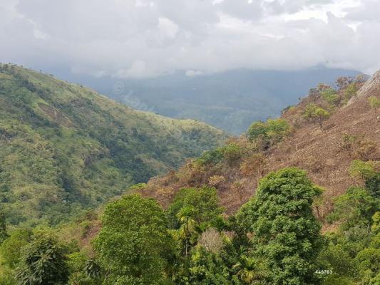Land for Sale Bandaraawela Sri Lanka