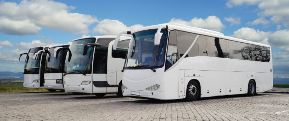 Established, Profitable Bus Transportation Company