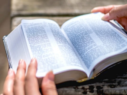 Daily Bible Scriptures Mobile App