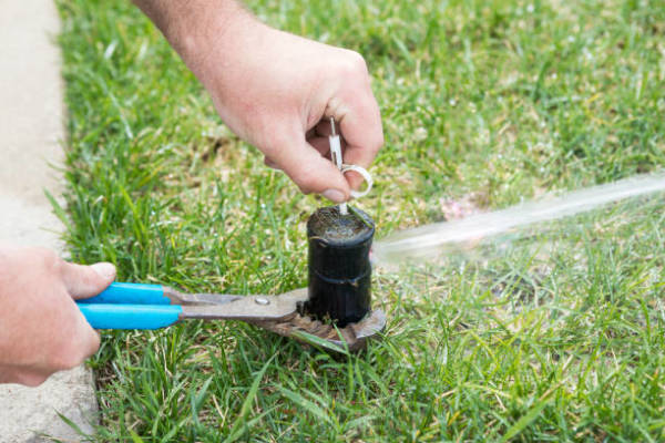 Sprinkler Startup & Blowout Business For Sale
