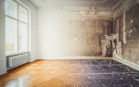 Profitable Water, Fire, Smoke, Odor & Mold Restor.