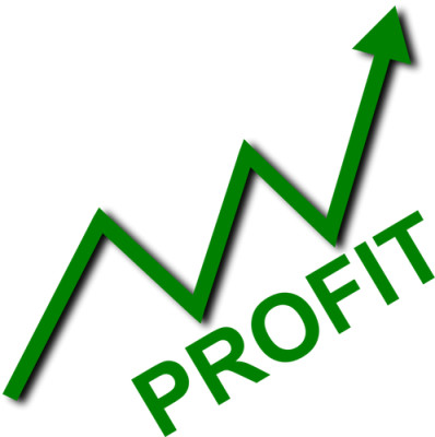 Profitable Independent Insurance Claims Adjuster