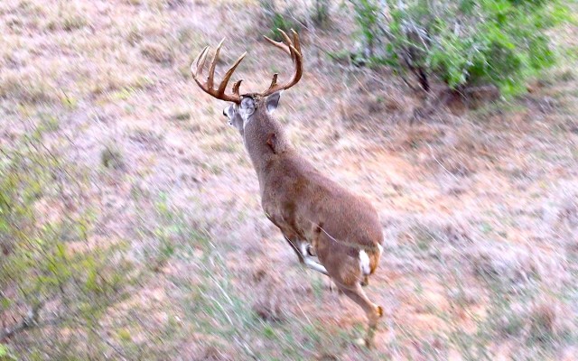 Private Market / 3200 Acres Primo South Texas