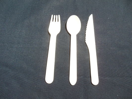 Biodegradable Wood Utensils