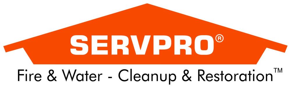 Well Established Restoration Franchise for Sale