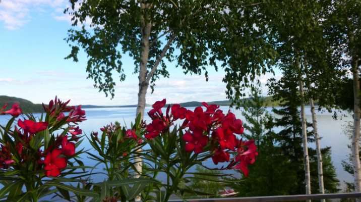 Stunning Boutique RV Park & Cottages w/ Land