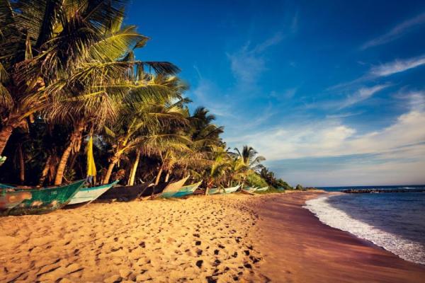 4 Star Hotel For Sale Hambanthota Sri Lanka
