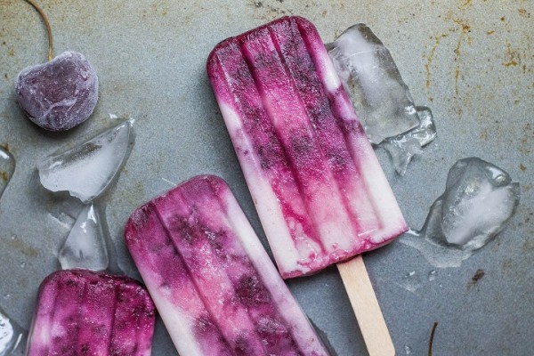 Gourmet Popsicle Mobile Catering Business