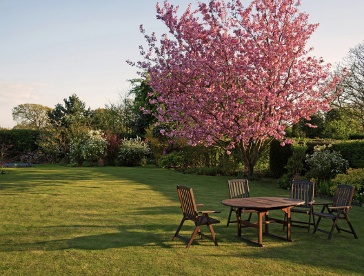 Provider of Landscaping Design and Maintenance