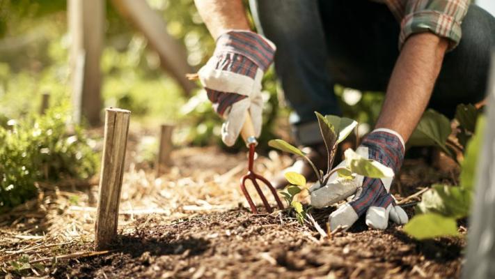 Soft and Hard Landscaping Business
