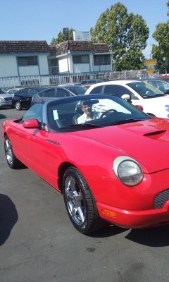 Fabulous Auto Services Business