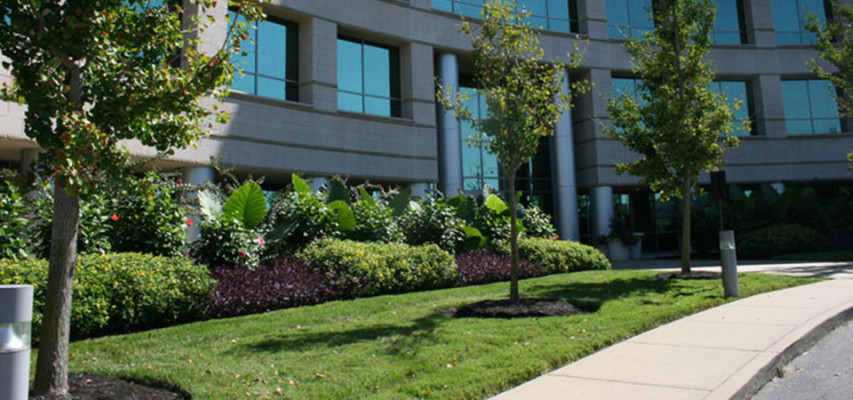 Commercial Hardscape/Landscape Firm in Richmond