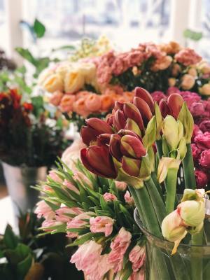 Flower Shop Beach City, 30 years, Epic Brand, Big