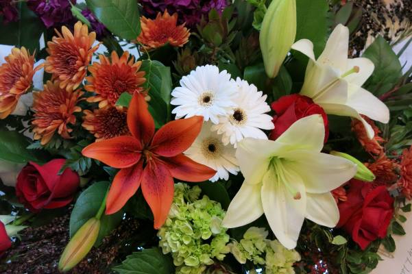 Established Floral Shop for Sale in CT