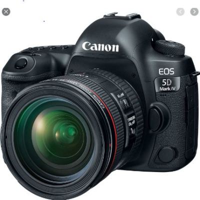 Photography Business Gold Coast and Brisbane