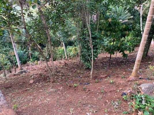 Tourist Investment Property for Sale