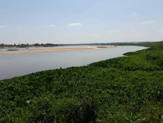Excellent Cattle Ranch For Sale Paraguay