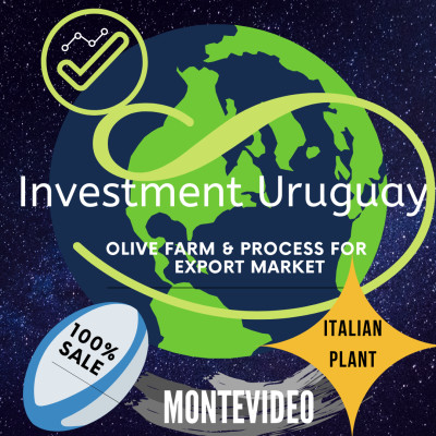Olive Farm, Processing, Packing And Export
