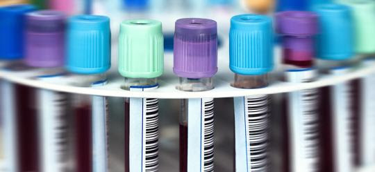 Built-Out NY Lab Certified in Clinical Chemistry