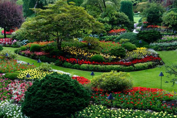 Residential Lawn & Landscaping Company