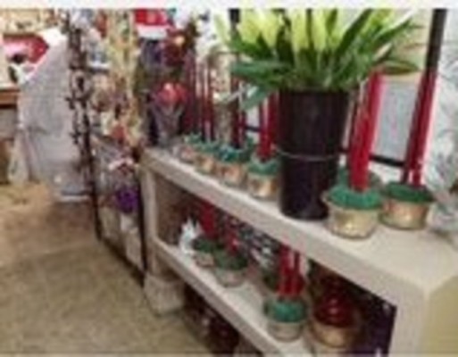 Established Florist for Sale in NY