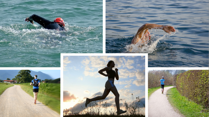 Niche Online Scalable Fitness Company