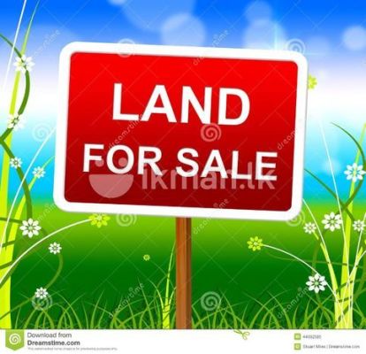 580 Acres Land for Sale Mannar Sri Lanka