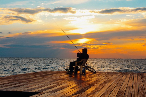 Sporting Goods Retailer, Specializing in Hunting