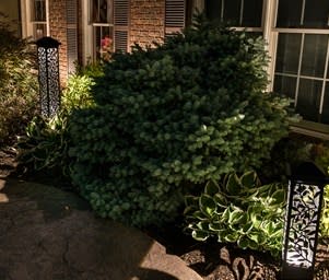 Landscape Lighting Company