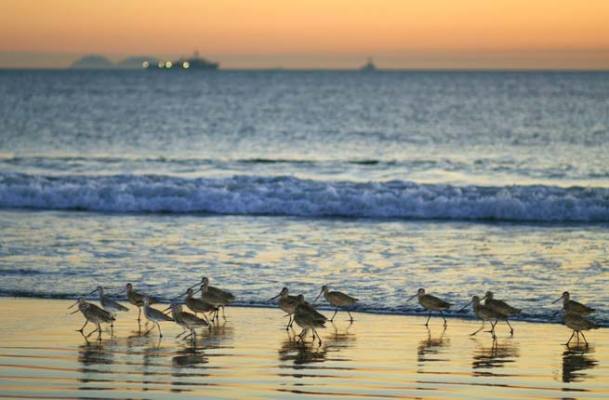 San Diego Tax Firm for Sale