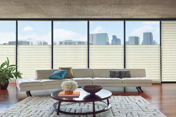 Premiere Window Treatments, $750 profit, Absentee