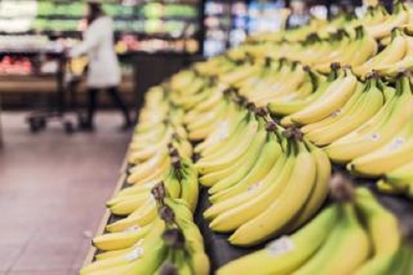 Established Supermarket in Putnam County, NY