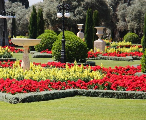 Established Landscaping Company for Sale in NJ