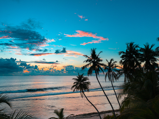 10 Yr. Travel Service Biz Based in Latin America