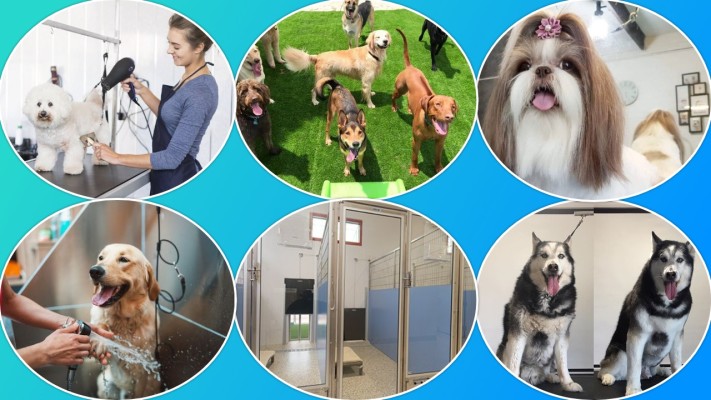 Reputable Pet Grooming & Boarding Service