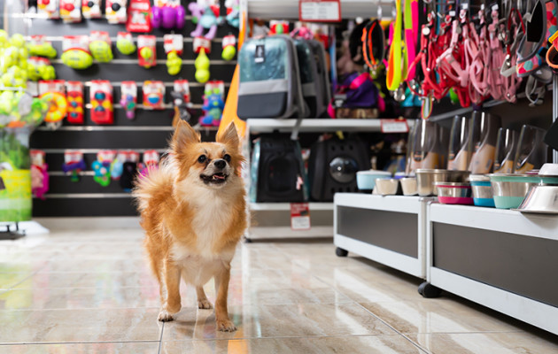 High Traffic Location Retail Pet Supply & Grooming