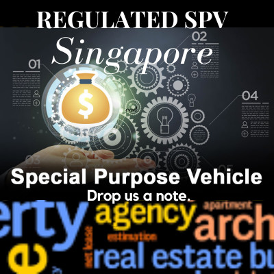 Regulate SPV Accounts - Via Asset Management Group