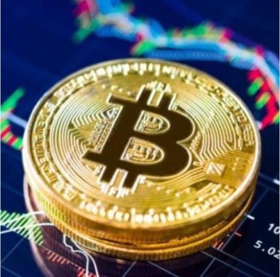 BitCoins Trading + Monthly Profit