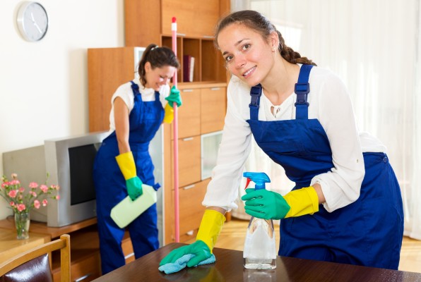 Established & Profitable House Cleaning Business