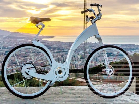 Scaling Electric Bike Brand