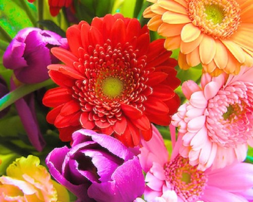 Unique Flower and Gift Boutique w/Loyal Following