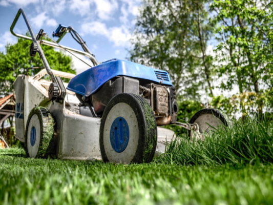 Est. Landscaping & Maint.-Priced for Quick Sale