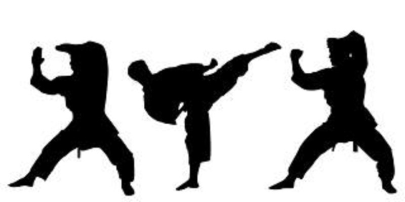 Martial Arts Studio for Sale in Suffolk County, NY