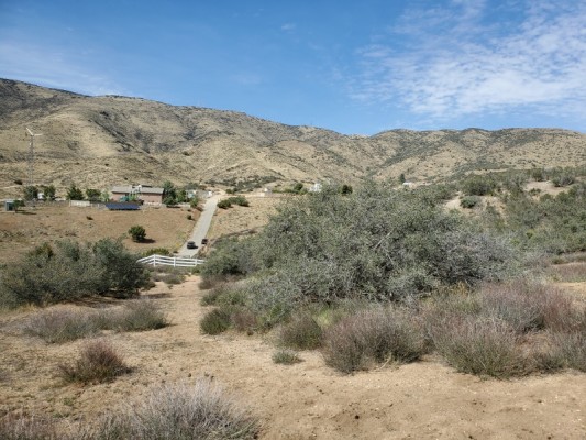 10 Acres of Land For Sale in Acton, California
