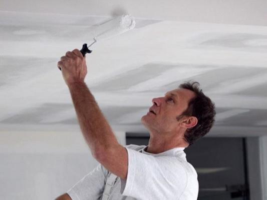 Highly Profitable Painting Contractor